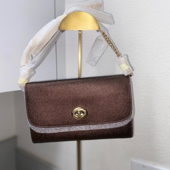 Coach Crossbody Bronze Wallet with Detachable Long Chain Strap NWT - Picture 2 of 14